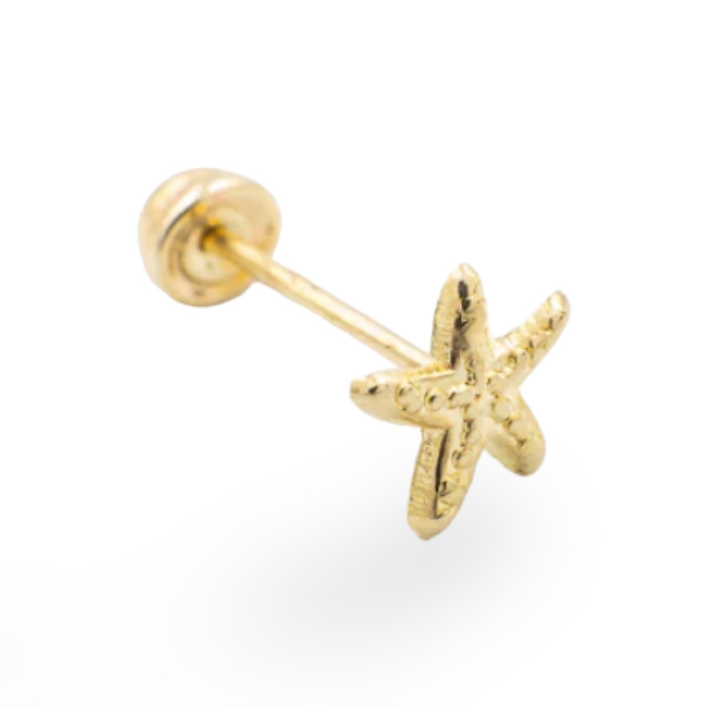 ESTRELLA DE MAR CHICA 10K