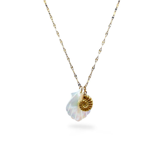 COLLAR CONCHA CON DIJE CONCHA